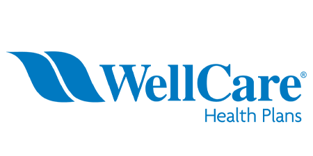 wellcare health plans insurance logo with secure solutions insurance and investments in mt sterling ky servicing central kentucky, lexington ky, louisville ky, eastern ky, london ky, somerset ky, florida 